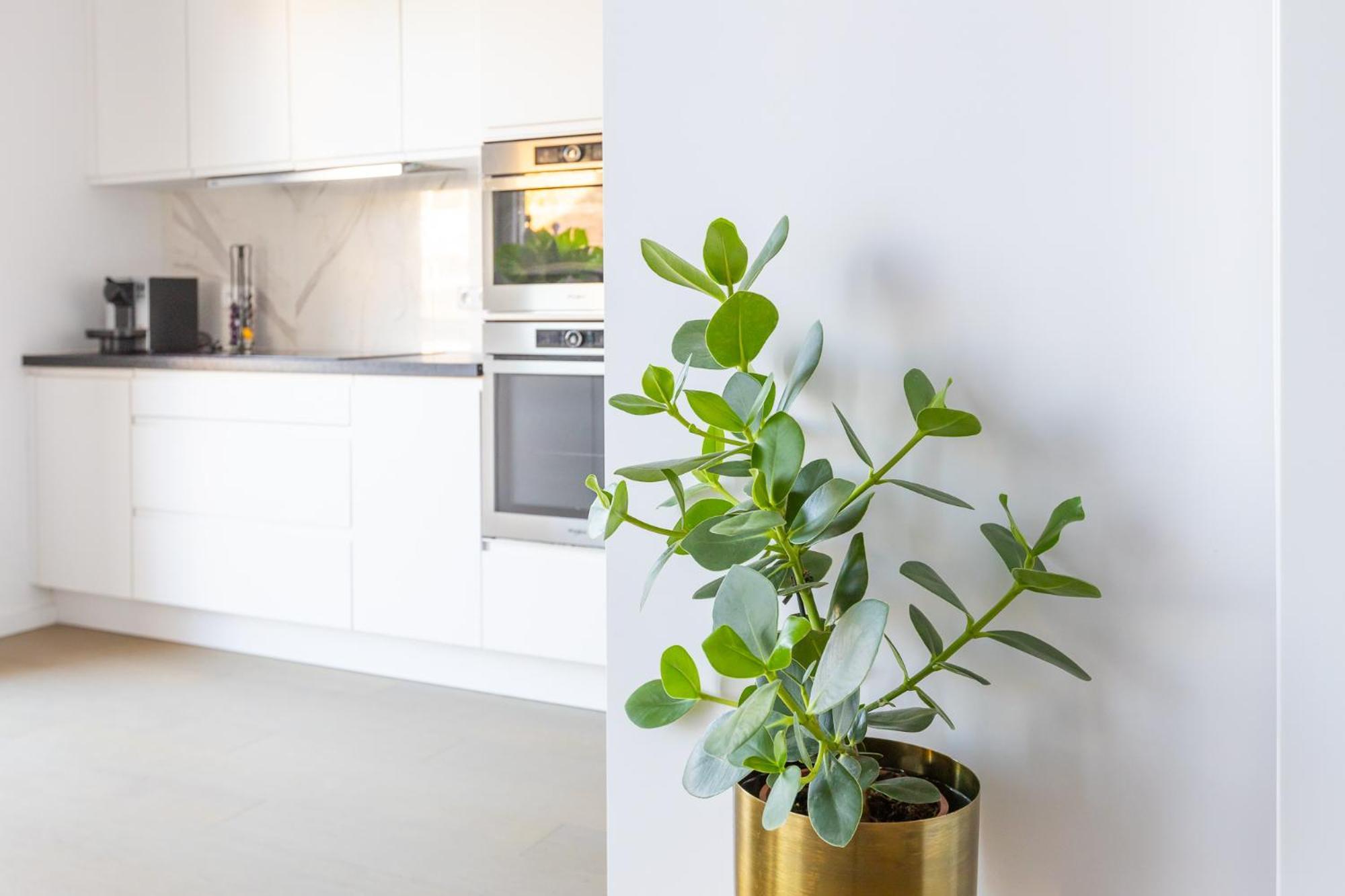 Prachtig Aan Zee Met 2 Terrassen - 4p Appartement *